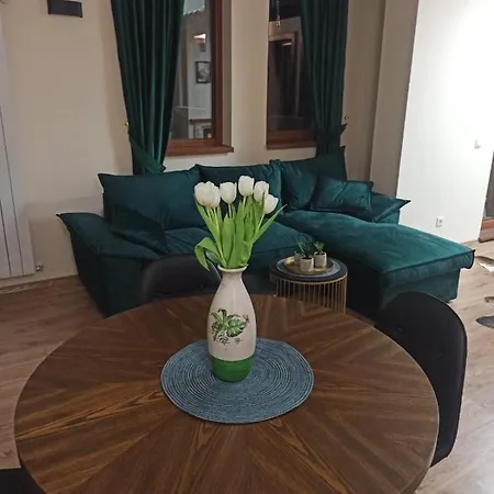 Appartement и за гости 
