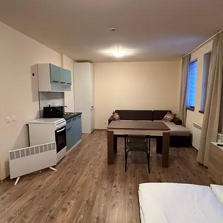 Appartement и за гости 